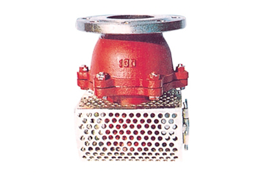 鑄鐵吸入式止回閥(圖) 鑄鐵吸入式止回閥